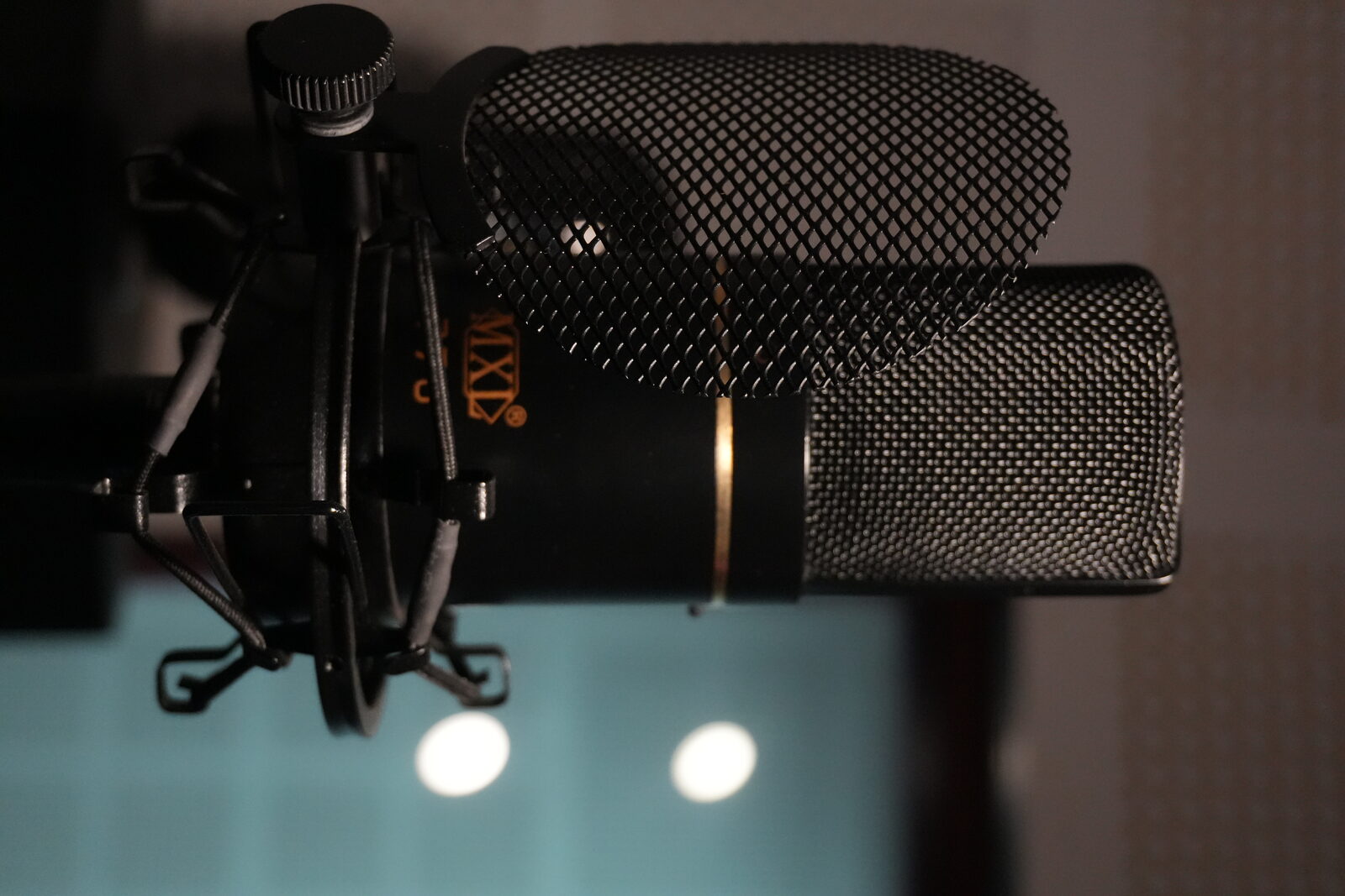 Professional studio microphone with pop filter at Vacha Studio